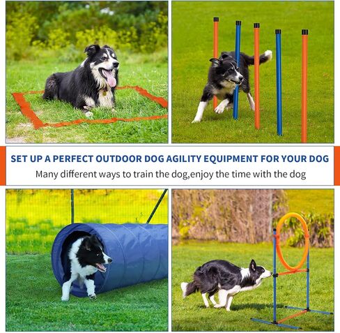 Dog Agility Training Equipment, 60-Piece Dog Obstacle Course Training Starter Kit Pet Outdoor Game with Tunnel, Agility Hurdle, Weave Poles, Jump Ring, Pause Box, Toy Balls and Storage Bag in Saudi Arabia