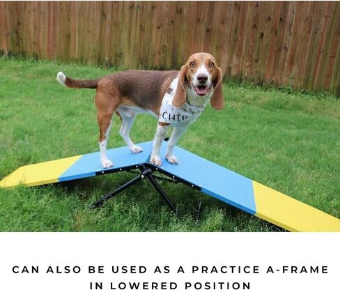 Better Sporting Dogs Practice See Saw | Dog Agility Teeter | Dog Agility Equipment in Kuwait