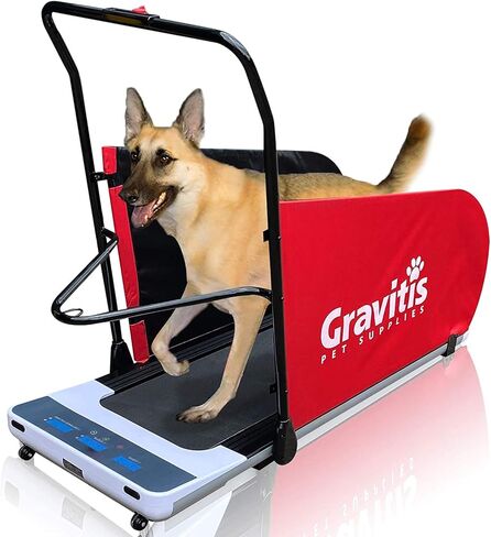 Gravitis Pet Supplies جهاز سير كهربائي ثنائي الغرض للكلاب والبشر. آلة الجري الآلية لتدريب الكلاب للحيوانات الأليفة والأشخاص in Kuwait