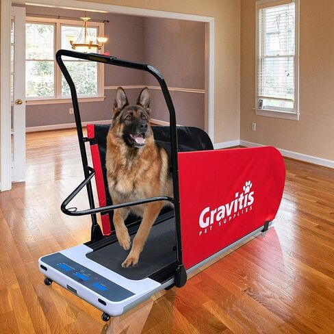 Gravitis Pet Supplies جهاز سير كهربائي ثنائي الغرض للكلاب والبشر. آلة الجري الآلية لتدريب الكلاب للحيوانات الأليفة والأشخاص in Kuwait