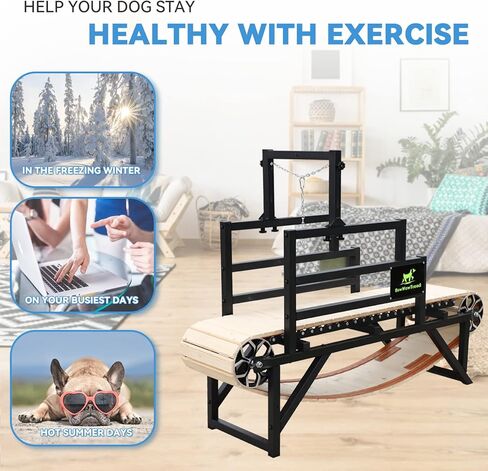 جهاز مشي للكلاب من BowWowTread للكلاب المتوسطة والكبيرة، لا يتطلب توصيل الكهرباء، وهو جيد جدًا لصحة الكلاب. in Kuwait