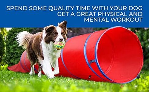 نفق رشاقة للكلاب، خياران مزدوجان؛ مفتوح او عمي، متصل او منفصل، معدات تدريب رشاقة الكلاب، انشطة ممتعة للكلاب، حجم كبير 14 قدم in Kuwait