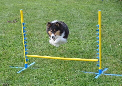 Cool Runners Set of 2, 4FT Wide Dog Agility Jumps with Carrying Case in Kuwait