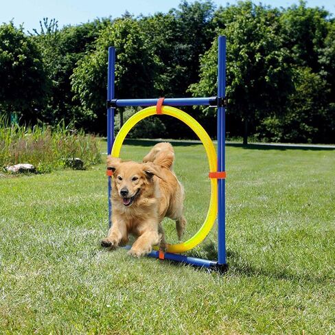 Petprime Dog Jump Ring Agility Kit Hoop Jump Set, Dog Agility Training Course Equipment Professional, Jump Obstacle Course for Dogs Outdoor, Puppy Agility Course Backyard Set, 21.7’’ in Diameter in Saudi Arabia
