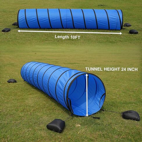 مجموعة معدات تدريب القفز على خفة الحركة للكلاب، نفق للكلاب بطول 10 أقدام مع أكياس رمل، وأعمدة منسوجة، وصندوق إيقاف مؤقت، وحلقة قفز وأعمدة قفز، وحقيبة حمل تتضمن 4 أوتاد وصفارة وأقراص طائرة in Kuwait