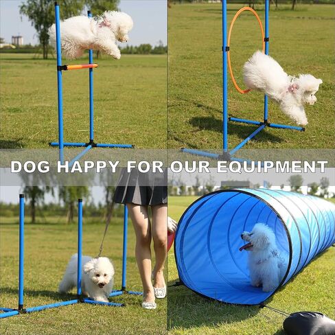مجموعة معدات تدريب القفز على خفة الحركة للكلاب، نفق للكلاب بطول 10 أقدام مع أكياس رمل، وأعمدة منسوجة، وصندوق إيقاف مؤقت، وحلقة قفز وأعمدة قفز، وحقيبة حمل تتضمن 4 أوتاد وصفارة وأقراص طائرة in Kuwait