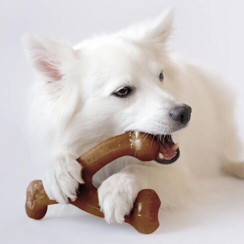 Benebone Wishbone Durable Dog Chew Toy for Aggressive Chewers, Real Bacon, Made in USA, Medium in Saudi Arabia