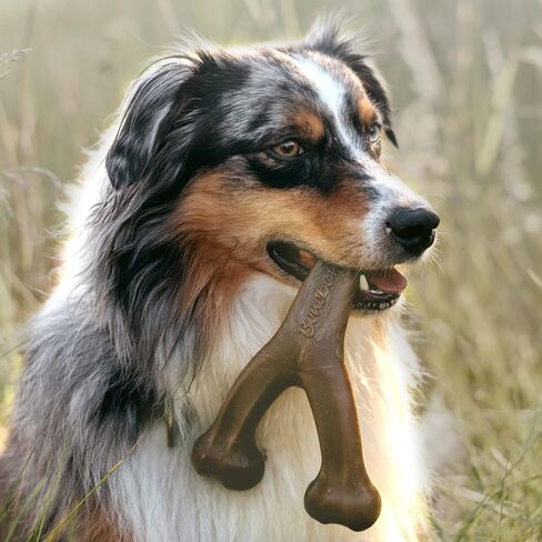 Benebone Wishbone Durable Dog Chew Toy for Aggressive Chewers, Real Bacon, Made in USA, Medium in Saudi Arabia