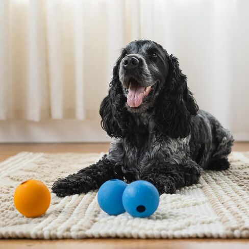 Amazon Basics Interactive Bouncy Durable Rubber Dog Toy Balls, 2.5 inch, Multi-Color Blue/Orange, Pack of 10 in Kuwait