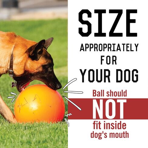 Doggie Dooley Virtually Indestructible Best Ball for Dogs, 8 inch (Colors Vary) (1008),Medium in Saudi Arabia