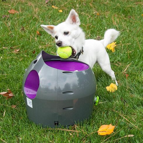 PetSafe Automatic Ball Launcher - Interactive Dog Toy for Enrichment - Tennis Balls Included - Motion Sensor Promotes Safe Play - Indoor & Outdoor - Adjustable Range - A/C Adaptor or Batteries in Saudi Arabia