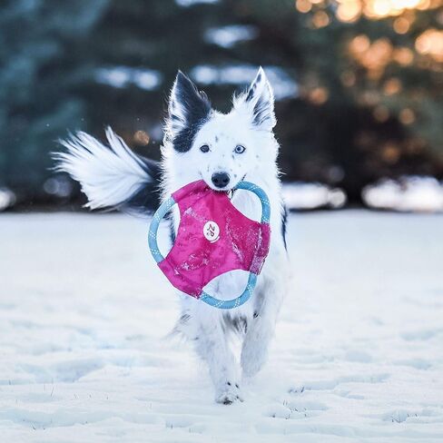 ZippyPaws Rope Gliderz - Durable Outdoor Dog Toy, Pet Flying Disc, Soft Frisbee Dog Toy for Throwing & Fetching, Gift for Dog Dads - Blue in Saudi Arabia