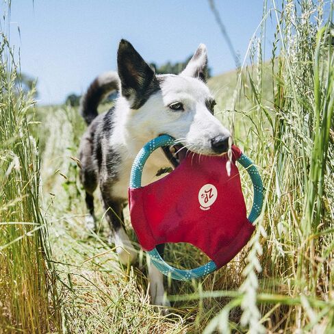 ZippyPaws Rope Gliderz - Durable Outdoor Dog Toy, Pet Flying Disc, Soft Frisbee Dog Toy for Throwing & Fetching, Gift for Dog Dads - Blue in Saudi Arabia
