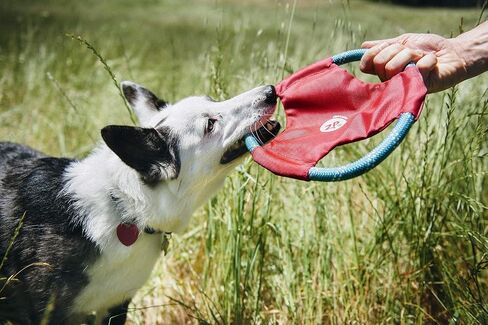 ZippyPaws Rope Gliderz - Durable Outdoor Dog Toy, Pet Flying Disc, Soft Frisbee Dog Toy for Throwing & Fetching, Gift for Dog Dads - Blue in Saudi Arabia