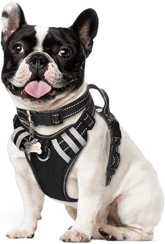 WINSEE Dog/Pet Harnesses No Pull with Dog Collar, Adjustable Reflective Oxford Outdoor Vest, Front/Back Leash Clips for Small, Medium, Large, Extra Large Dogs, Easy Control Handle for Walking in Saudi Arabia