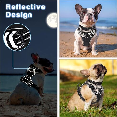 WINSEE Dog/Pet Harnesses No Pull with Dog Collar, Adjustable Reflective Oxford Outdoor Vest, Front/Back Leash Clips for Small, Medium, Large, Extra Large Dogs, Easy Control Handle for Walking in Saudi Arabia