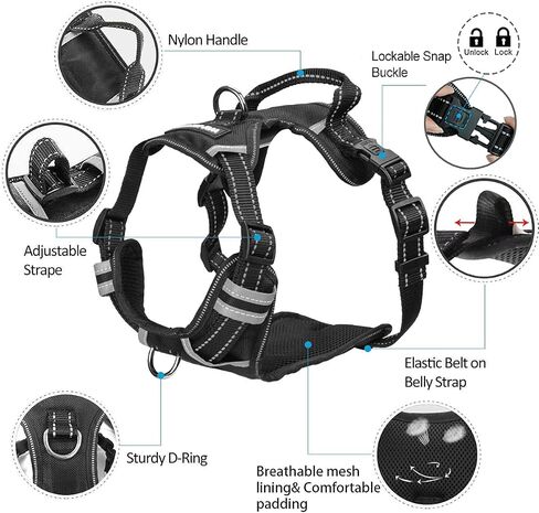 WINSEE Dog/Pet Harnesses No Pull with Dog Collar, Adjustable Reflective Oxford Outdoor Vest, Front/Back Leash Clips for Small, Medium, Large, Extra Large Dogs, Easy Control Handle for Walking in Saudi Arabia