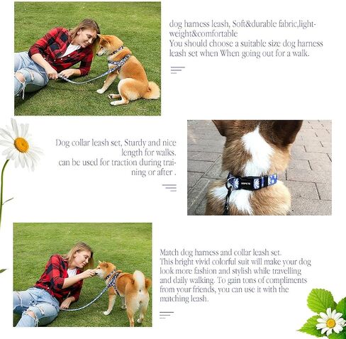 Dog Harness Collar Leash Set - No Pull Pet Adjustable Back Clip Halter Basic Collar Heavy Duty 5FT Anti-Twist Leash for Extra Small Puppy Medium Large Breed Training Running (Daisy, S) in Kuwait