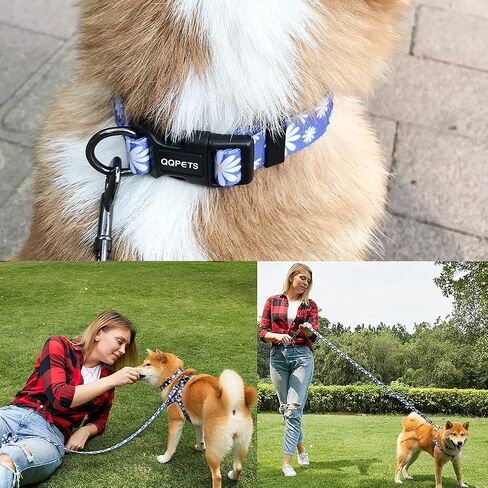 Dog Harness Collar Leash Set - No Pull Pet Adjustable Back Clip Halter Basic Collar Heavy Duty 5FT Anti-Twist Leash for Extra Small Puppy Medium Large Breed Training Running (Daisy, S) in Kuwait