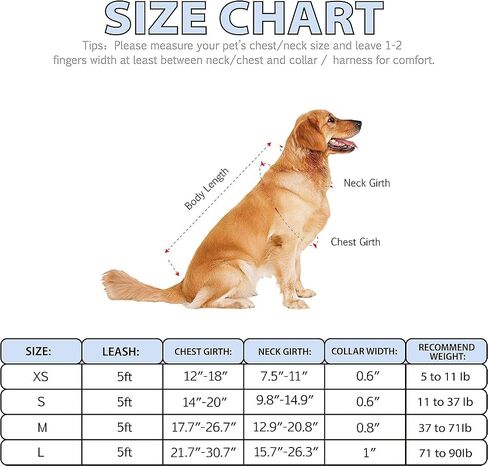 Dog Harness Collar Leash Set - No Pull Pet Adjustable Back Clip Halter Basic Collar Heavy Duty 5FT Anti-Twist Leash for Extra Small Puppy Medium Large Breed Training Running (Daisy, S) in Kuwait