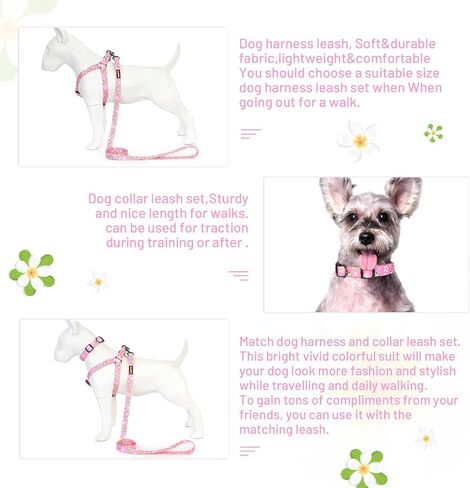 Dog Harness Collar Leash Set - No Pull Pet Adjustable Back Clip Halter Basic Collar Heavy Duty 5FT Anti-Twist Leash for Extra Small Puppy Medium Large Breed Training Running (Daisy, S) in Kuwait