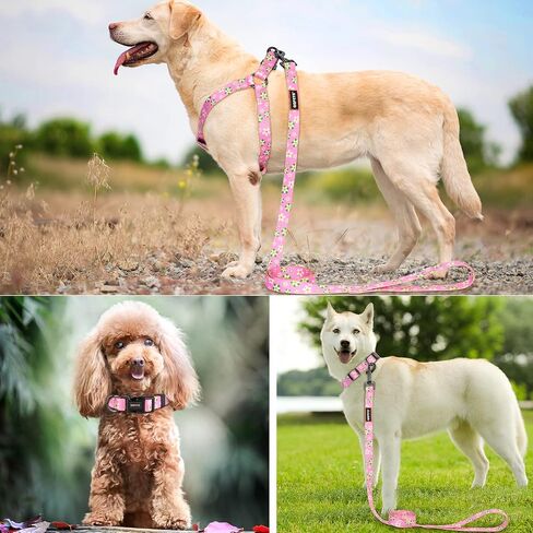 Dog Harness Collar Leash Set - No Pull Pet Adjustable Back Clip Halter Basic Collar Heavy Duty 5FT Anti-Twist Leash for Extra Small Puppy Medium Large Breed Training Running (Daisy, S) in Kuwait