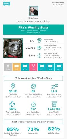 FitBark 2 Dog Activity Monitor | Health & Fitness Tracker for Dogs | Waterproof, Small & Leightweight (10 g) | Not a GPS Tracker in Saudi Arabia