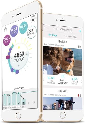 FitBark 2 Dog Activity Monitor | Health & Fitness Tracker for Dogs | Waterproof, Small & Leightweight (10 g) | Not a GPS Tracker in Saudi Arabia