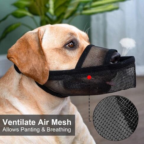 Crazy Felix Dog Muzzle Anti Eating for Small Medium Large Dogs, M, Black in Saudi Arabia
