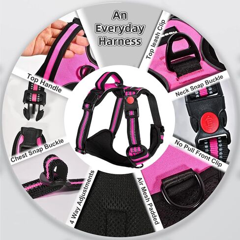 No Pull Dog Harness with A Free Heavy Duty 5ft Dog Leash, Adjustable Soft Padded Dog Vest, Reflective No-Choke Pet Oxford Vest with Easy Control Handle for Small and Large Dogs (Orange, X-Large) in Saudi Arabia