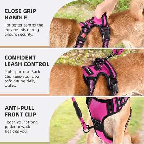 No Pull Dog Harness with A Free Heavy Duty 5ft Dog Leash, Adjustable Soft Padded Dog Vest, Reflective No-Choke Pet Oxford Vest with Easy Control Handle for Small and Large Dogs (Orange, X-Large) in Saudi Arabia