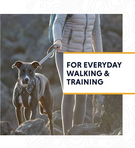 Ruffwear، حزام أمامي للكلاب، حزام عاكس ومبطن للتدريب والحياة اليومية، أرجواني، مقاس صغير in Kuwait