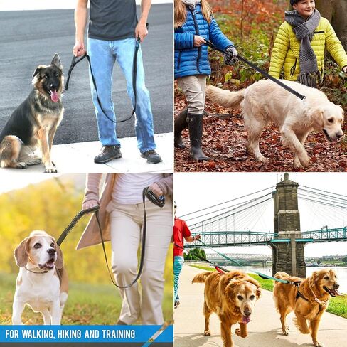 Heavy Duty Dog Leash - 2 Handles by Padded Traffic Handle for Extra Control, 6foot Long - Perfect for Medium to Large Dogs (6 ft, Black) in Saudi Arabia