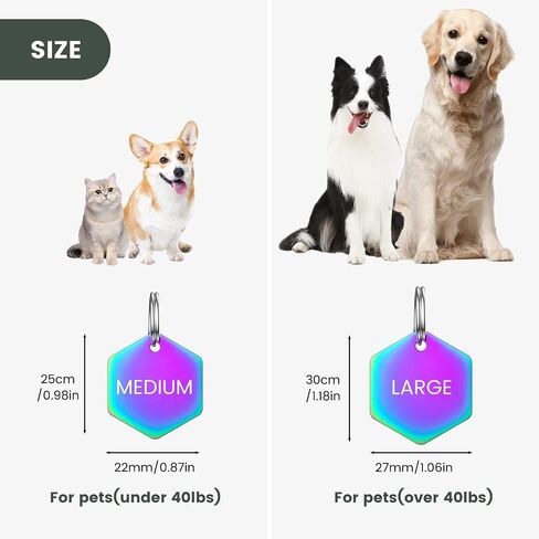 Dog Tags Engraved for Pets - YEHANTI Seaside Theme Personalized Dog Tags and Cat Tags, Stainless Steel Doube Sided Engraved Dog Tags, Custom Pet ID Tags Dog Collar Name Tag for Puppy Kitten, Bone in Kuwait