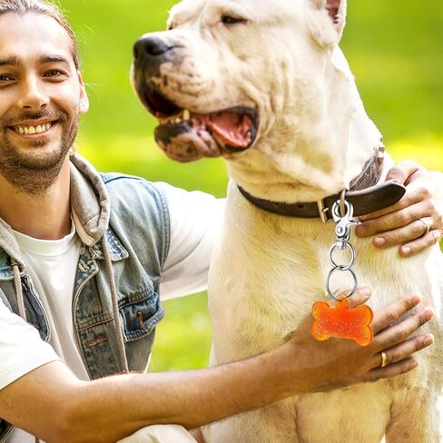 4 قطع مشابك بعلامة تعريف الكلاب من هوتوب مع 12 قطعة قابلة للاستبدال 304 حلقة من الفولاذ المقاوم للصدأ لأطواق وسروج الحيوانات الأليفة بمقاسين. in Kuwait