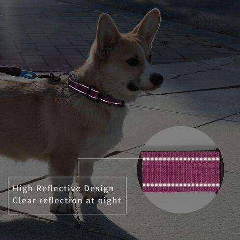 2 Pack Reflective Dog Collar with Safety Locking Buckle, Adjustable Soft Breathable Comfortable Nylon Pet Collar for Small, Medium and Large Dogs, Black, XS in Saudi Arabia
