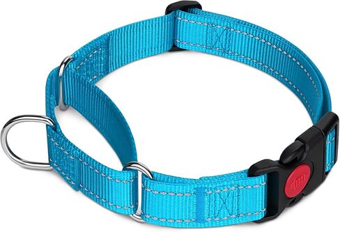 Joytale Martingale Collar for Dogs, Escape Proof No Pull, Hotpink, M in Saudi Arabia
