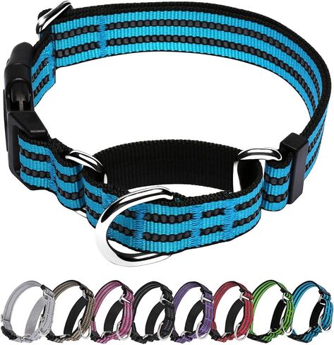 Martingale Collar for Dogs, No Pull No Choking(Forest Green,L) in Saudi Arabia