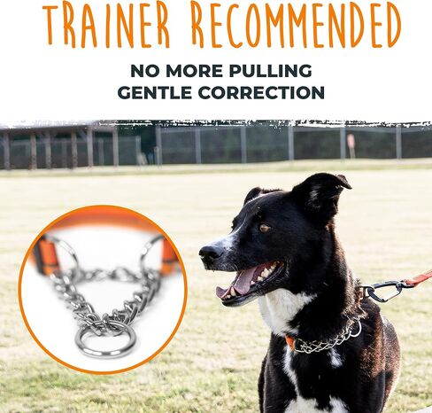 Mighty Paw Martingale Dog Collar 2.0 | Trainer Approved Limited Slip Collar with Stainless Steel Chain & Heavy Duty Buckle - Modified Cinch Collar for Gentle & Effective Pet Training - Large, Black in Kuwait