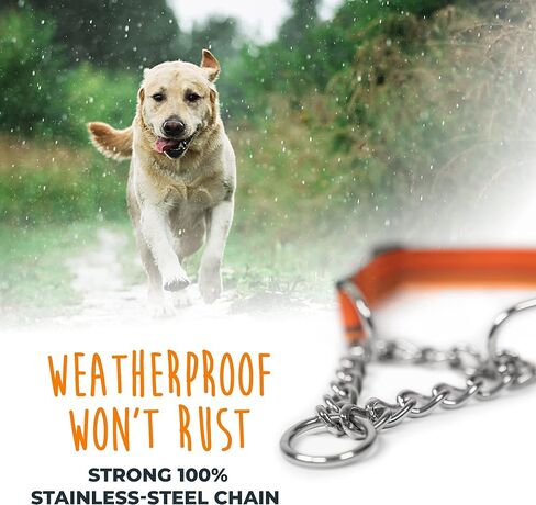 Mighty Paw Martingale Dog Collar 2.0 | Trainer Approved Limited Slip Collar with Stainless Steel Chain & Heavy Duty Buckle - Modified Cinch Collar for Gentle & Effective Pet Training - Large, Black in Kuwait