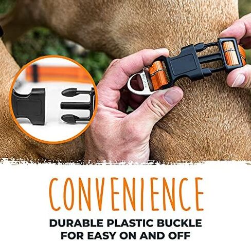 Mighty Paw Martingale Dog Collar 2.0 | Trainer Approved Limited Slip Collar with Stainless Steel Chain & Heavy Duty Buckle - Modified Cinch Collar for Gentle & Effective Pet Training - Large, Black in Kuwait