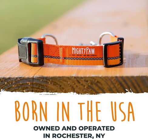 Mighty Paw Martingale Dog Collar 2.0 | Trainer Approved Limited Slip Collar with Stainless Steel Chain & Heavy Duty Buckle - Modified Cinch Collar for Gentle & Effective Pet Training - Large, Black in Kuwait