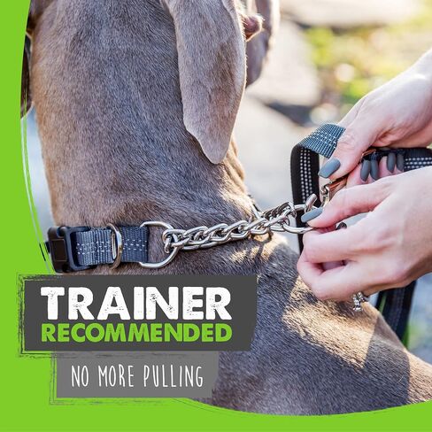 Mighty Paw Martingale Dog Collar 2.0 | Trainer Approved Limited Slip Collar with Stainless Steel Chain & Heavy Duty Buckle - Modified Cinch Collar for Gentle & Effective Pet Training - Large, Black in Kuwait