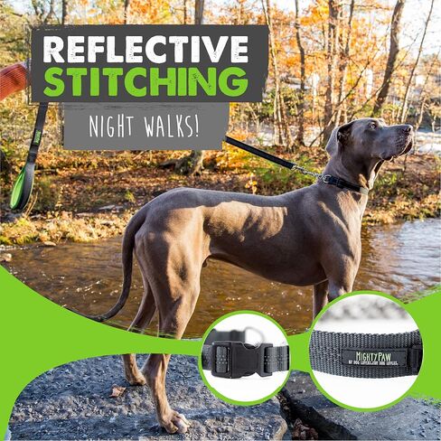 Mighty Paw Martingale Dog Collar 2.0 | Trainer Approved Limited Slip Collar with Stainless Steel Chain & Heavy Duty Buckle - Modified Cinch Collar for Gentle & Effective Pet Training - Large, Black in Kuwait