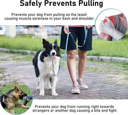 BARKLESS Dog Head Collar, Anti-Pulling Printed Head Halter with Leash, Gentle Snout Harness with Adjustable Clip for Small Medium, and Large Dogs, Perfect for Training Leash-Reactive Pullers in Saudi Arabia