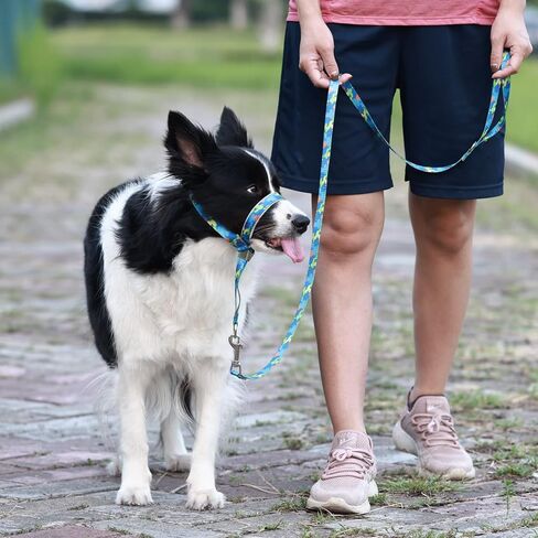 BARKLESS Dog Head Collar, Anti-Pulling Printed Head Halter with Leash, Gentle Snout Harness with Adjustable Clip for Small Medium, and Large Dogs, Perfect for Training Leash-Reactive Pullers in Saudi Arabia