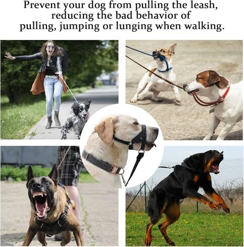 BARKLESS Dog Head Collar, No Pull Training Collar with Soft Padding in Saudi Arabia