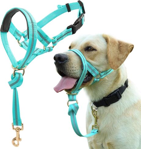 BARKLESS Dog Head Collar, No Pull Dog Halter with Soft Padding, Reflective Training Tool for Small Medium Labrador, German Shepherd, Stops Heavy Pulling and Easy Control on Walks in Saudi Arabia