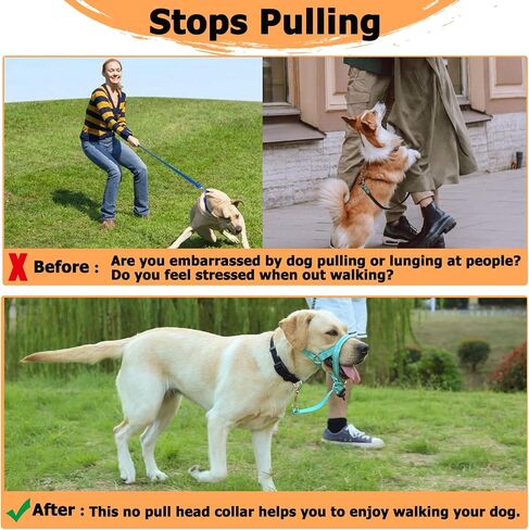 BARKLESS Dog Head Collar, No Pull Dog Halter with Soft Padding, Reflective Training Tool for Small Medium Labrador, German Shepherd, Stops Heavy Pulling and Easy Control on Walks in Saudi Arabia
