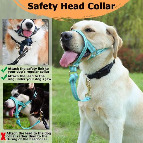 BARKLESS Dog Head Collar, No Pull Dog Halter with Soft Padding, Reflective Training Tool for Small Medium Labrador, German Shepherd, Stops Heavy Pulling and Easy Control on Walks in Saudi Arabia
